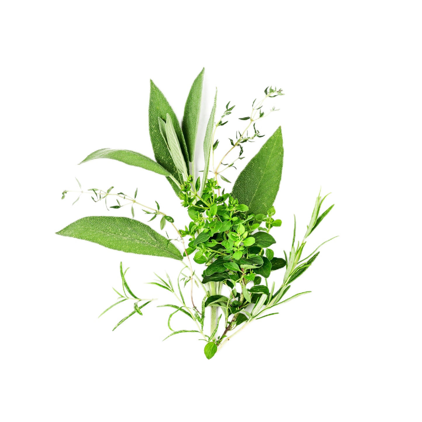 CO!™ The Original Climb On! Lotion Creme™  4 oz.