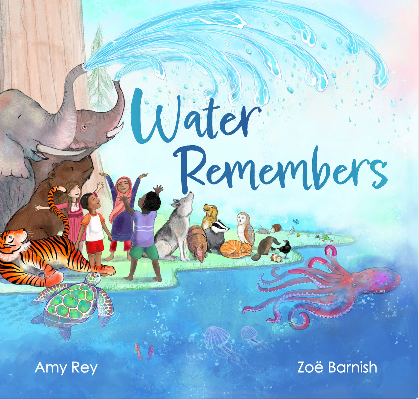 Water Remembers, A Picture Book